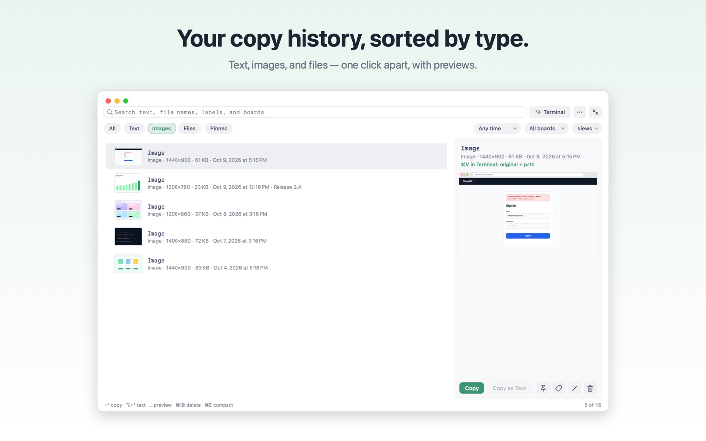 Your copy history, sorted by type.